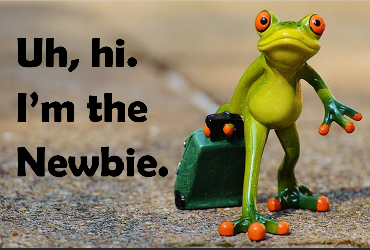 newbie